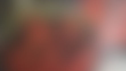 Cuisson des étrilles