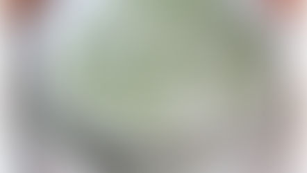 Potage au cerfeuil vichyssoise