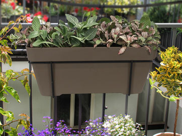Dicas para montar Jardim Vertical com Vasos