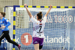 02.02.2020 Storhamar - Herning (24)