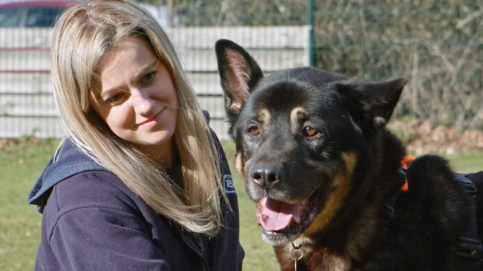 Blonde RSPCA dog trainer with big dog on grass