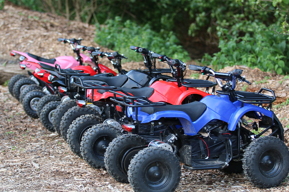 A line of Electric Quadbikes With various styles and sizes.
