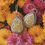 Miniature : Shine - boucles d'oreilles