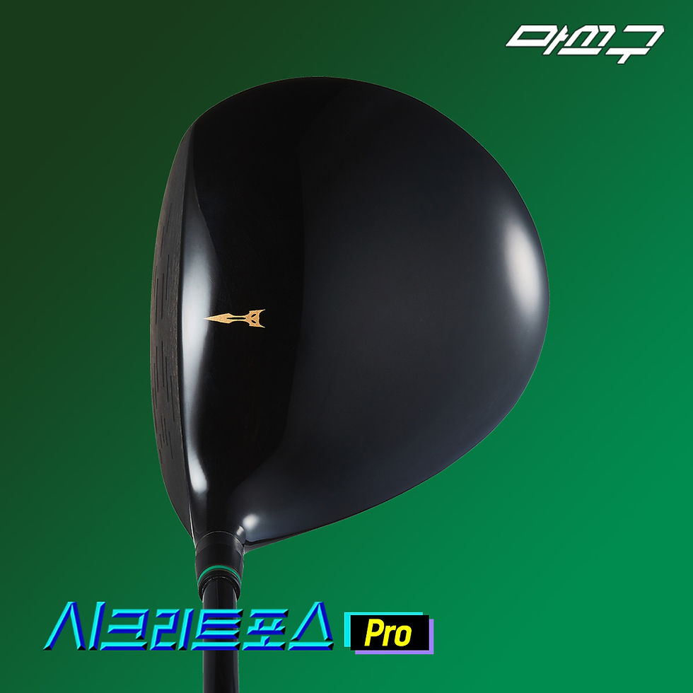섬네일: 시크리트포스 PRO