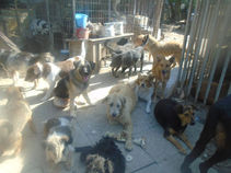 Ha időről időre nem kérek segítséget, akkor hatalmas a kereszt, ami roppanhat a súly alatt...