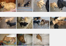 Twister segítséget kér és kap...