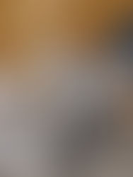 Dávid és a kutyusok