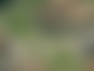 PIAZZA-GIARDINO IN LOCALITA' FENILE - FANO (PU)