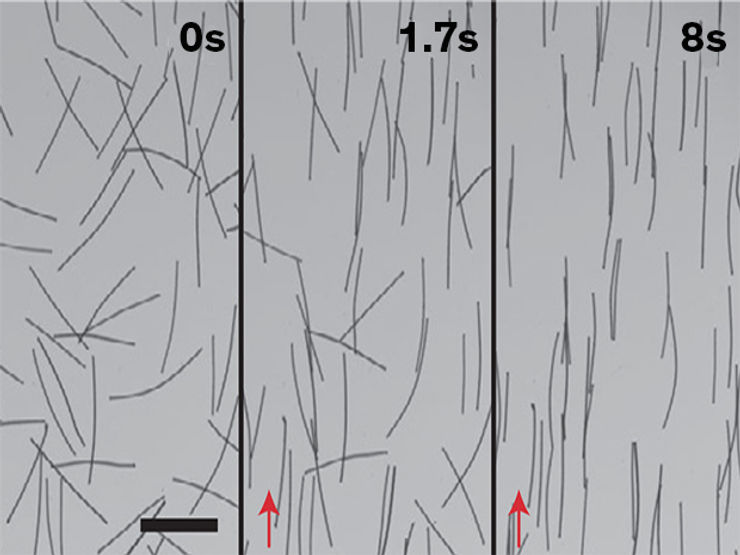 Li-ion Battery with Higher Energy Density