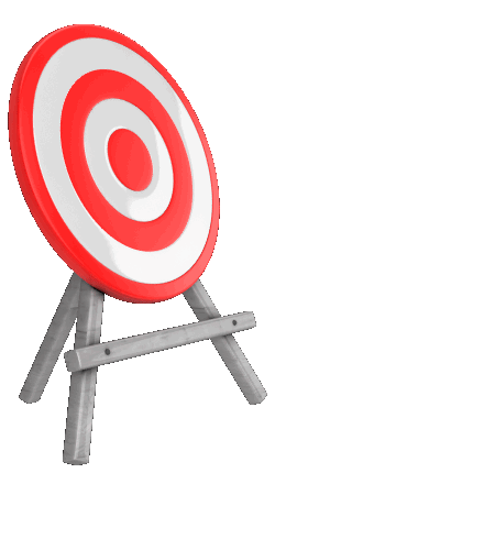 target_accuracy_anim_500_clr_13008.gif