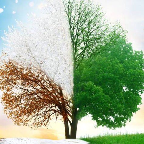 Seasonal Shifts, Lasting Growth: A Leadership Perspective