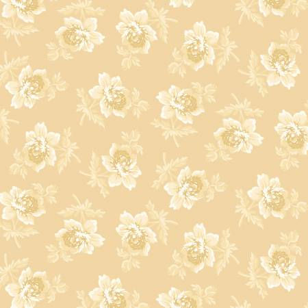 Golden Era Cream Cabbage Rose