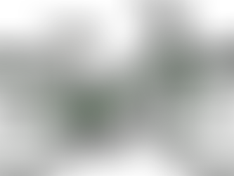 Özel  3D Baskılı  Bisiklet