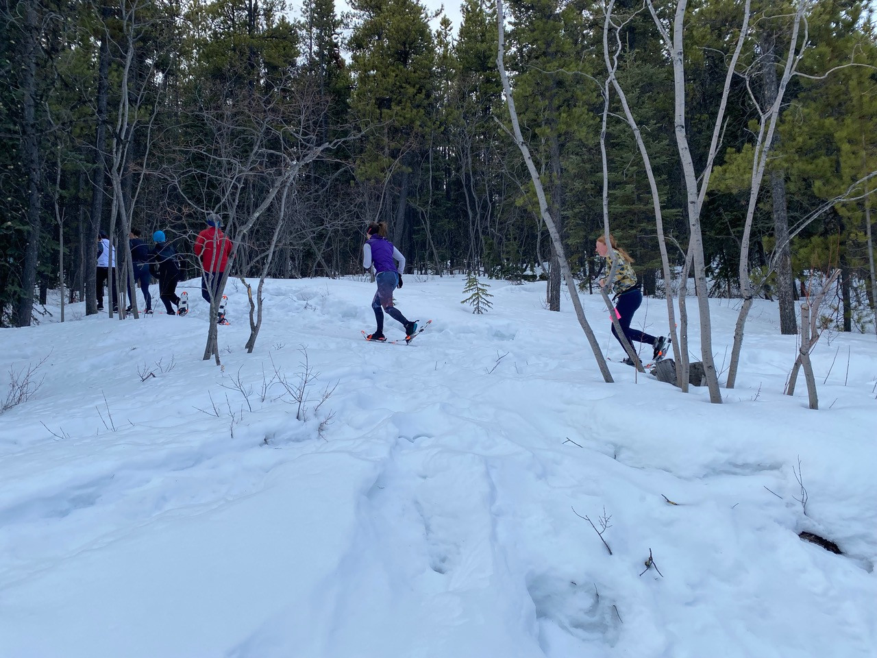 2023 Dion Yukon Snowshoe Race Results / Series Champions