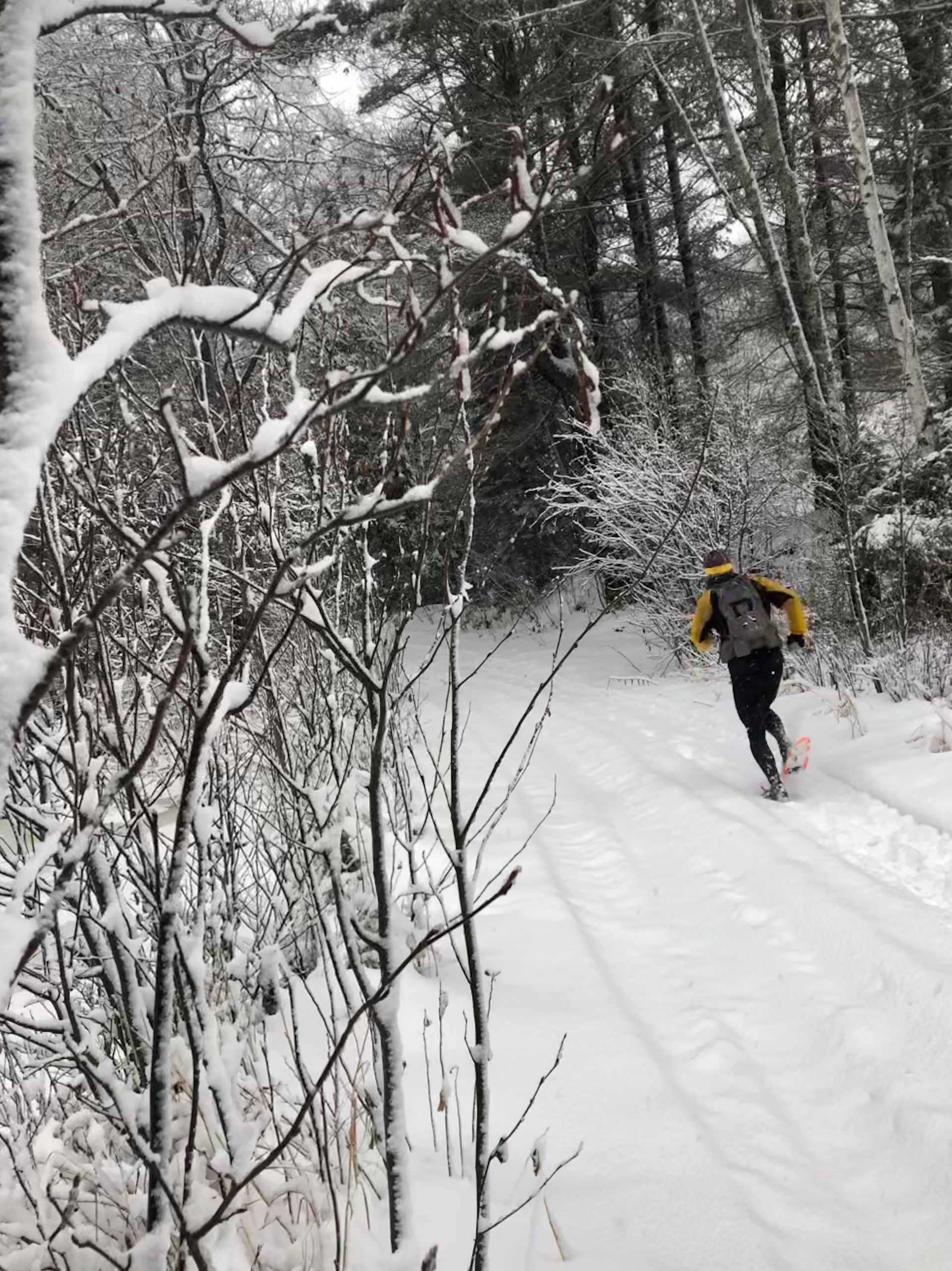 Snowshoe Run