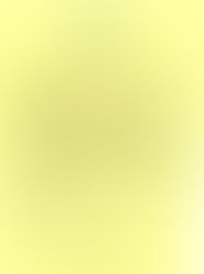 A PM DE SÃO PAULO SE ARRISCA NA SEGURANÇA PRIVADA, NOS BAIRROS NOBRES DA CAPITAL.