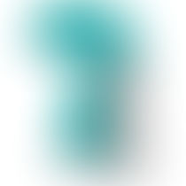 CONDUZINDO UM BARCO COM MUITOS CAPITÃES.