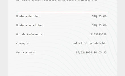 Ejemplo Boleta.jpg