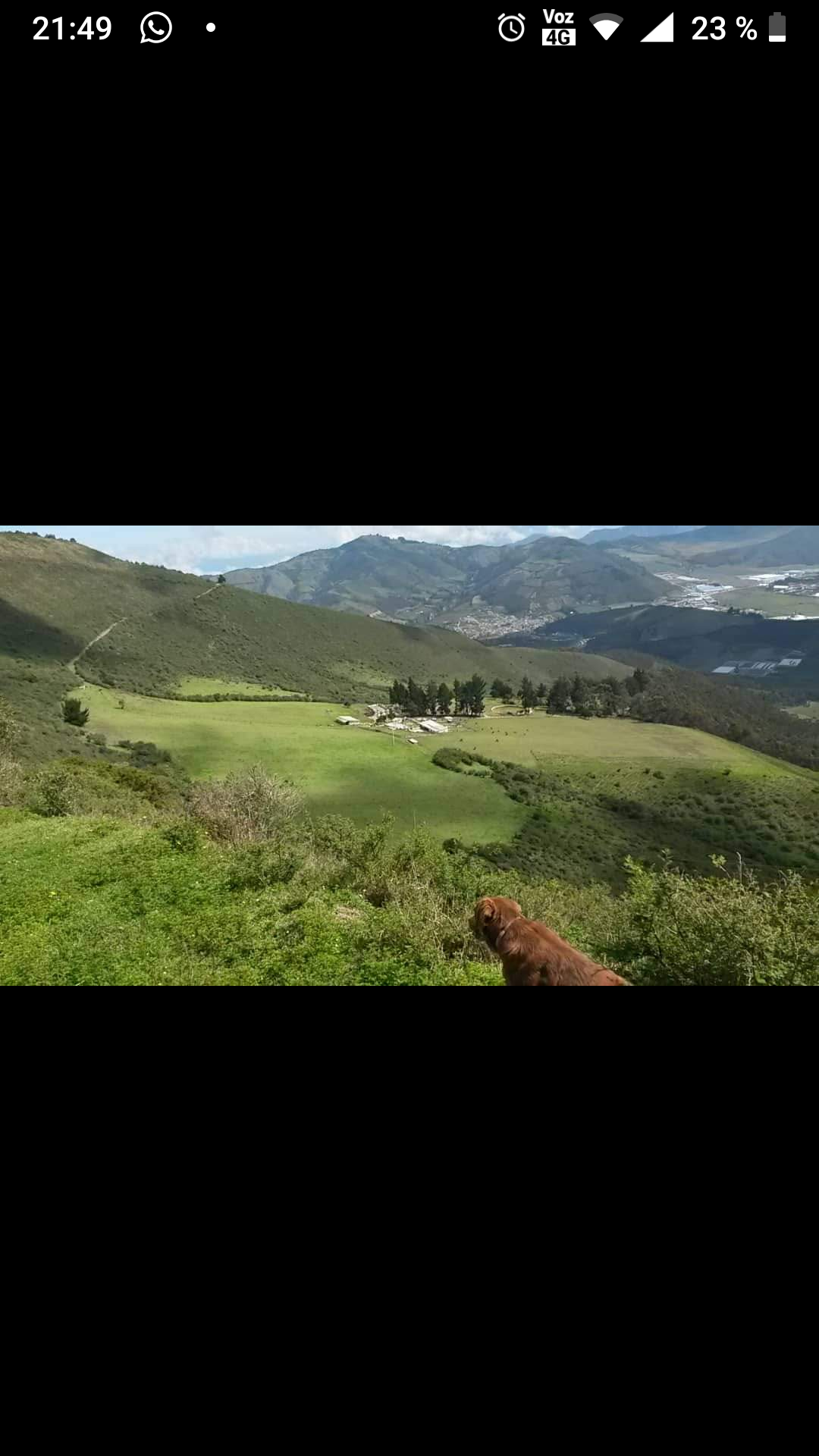 Foto del escritor: ElRancho 