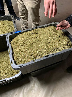 bulk cbg biomass.jpeg