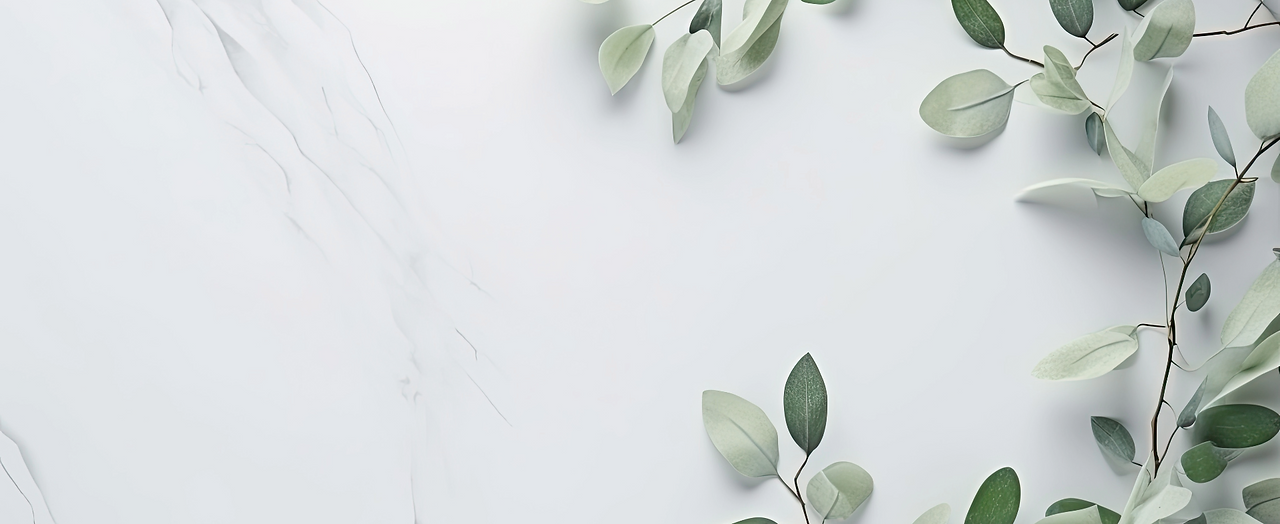 無題 (1).png