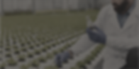 Capturar.PNG (5).png