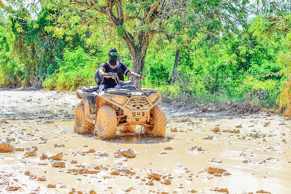 Traslados cómodos y seguros desde el aeropuerto de punta cana