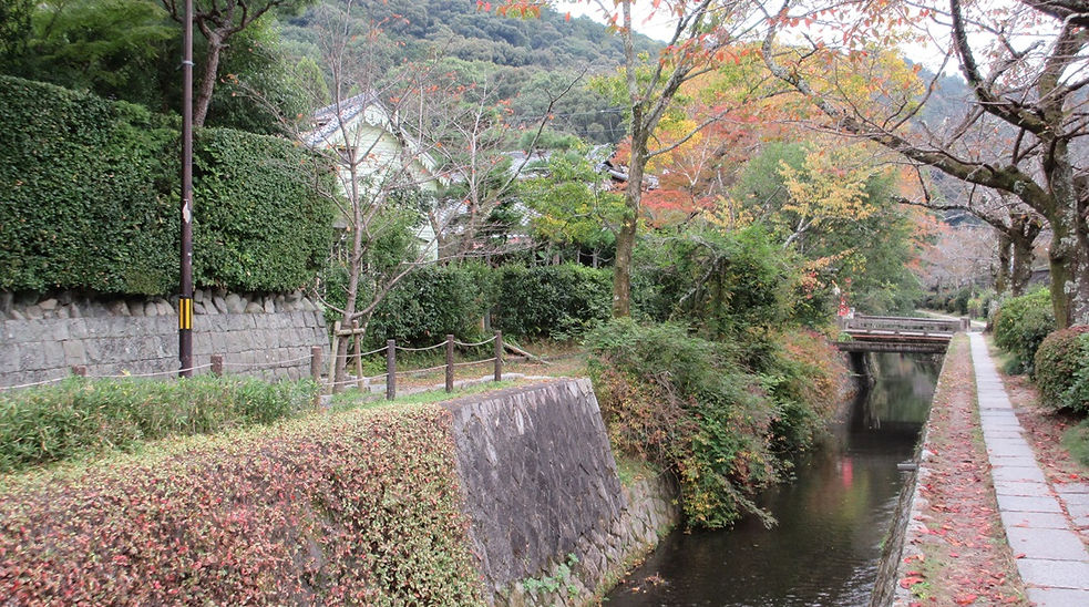 231104-1501.JPG