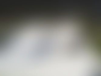 Harnessing the Power of Liquid Roof: A Comprehensive Guide to Liquid Rubber Roof Sealants