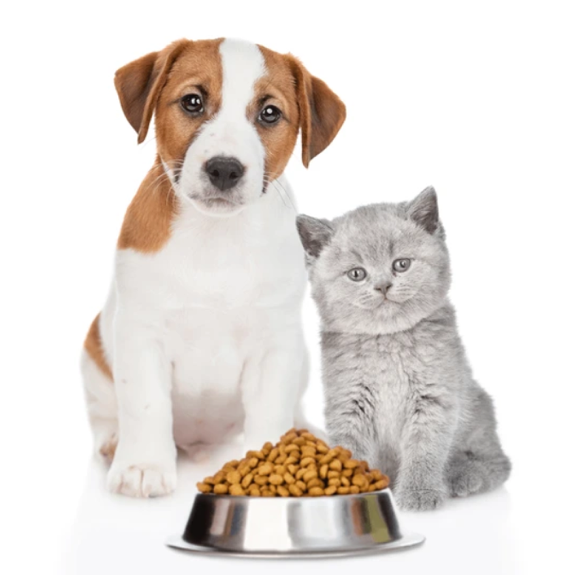 market-petfood.png