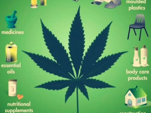 Hemp 101: "Everything you need to know"