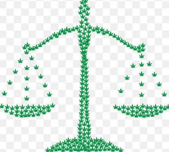 Understanding South Africa's Cannabis Bill: A Landmark Legalization Initiative