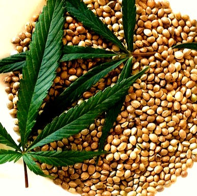 Hemp Seeds: Nutritional and Health Benefits
