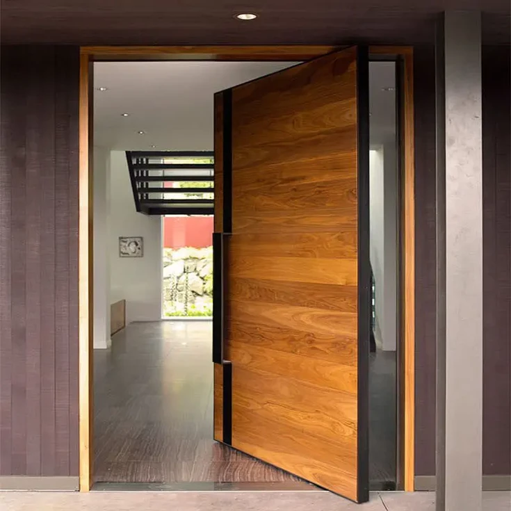 modern main door