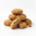 Oatmeal Walnut Crunch