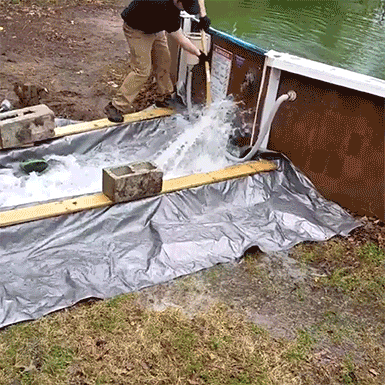 Untitled-3.gif