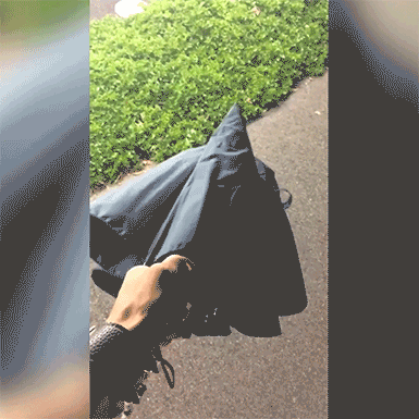 Untitled-1.gif