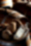 _EDX3802.JPG