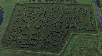 IMG-2312.jpg