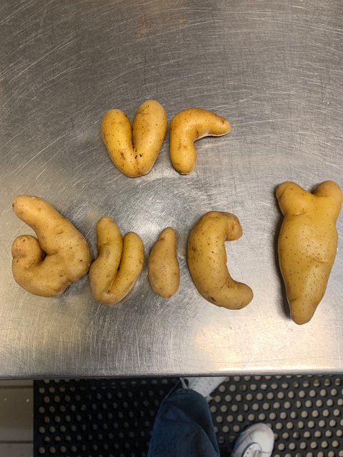 seasonal produce fun