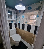 ashlors toilet.jpg
