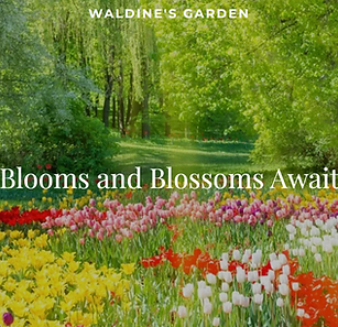 Waldine's Garden