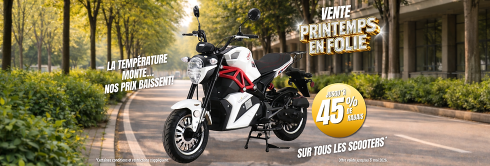 Website Banner Vente Printemps-Post 45 (3000 x 1016 px).png