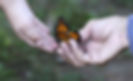 Butterfly senior hands_edited.jpg
