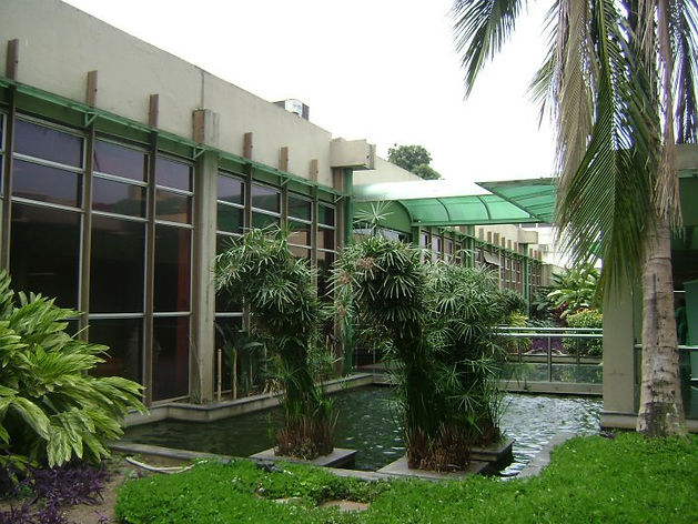 Jardim_do_Centro_de_Ciências_Matemáticas_e_Natureza_(CCMN)_da_Universidade_Federal_do_Rio_