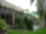 Jardim_do_Centro_de_Ciências_Matemáticas_e_Natureza_(CCMN)_da_Universidade_Federal_do_Rio_