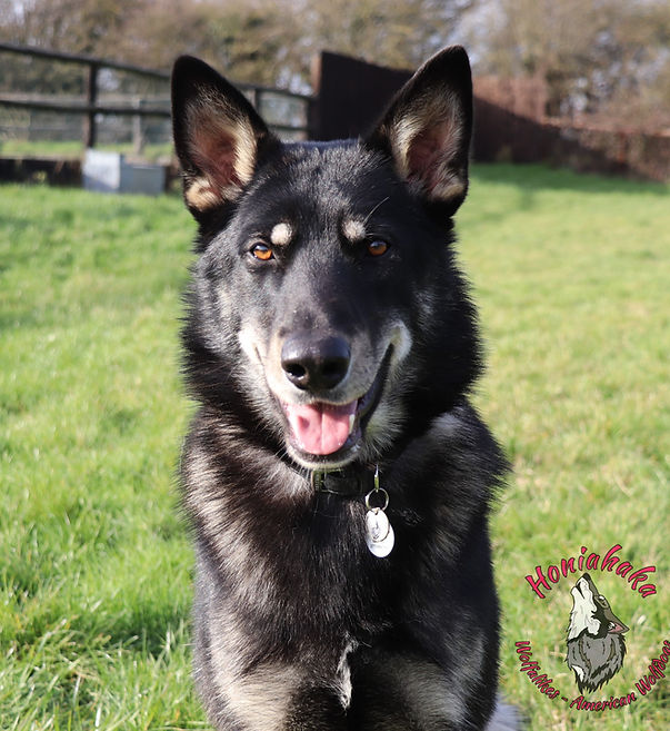 IMG_2289 (2)_edited.jpg