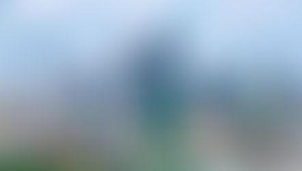 発展する国させる国