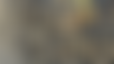 米国軍事会社派遣によるコンゴ東部の平和活動