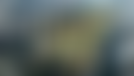 ジャーディンマセソンのカンボジア投資２